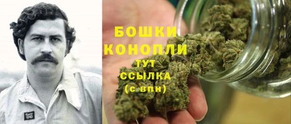 ГАЛЛЮЦИНОГЕННЫЕ ГРИБЫ Армянск
