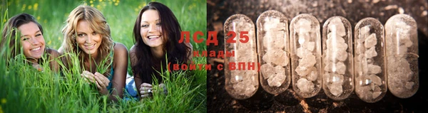 мяу мяу кристалл Арсеньев